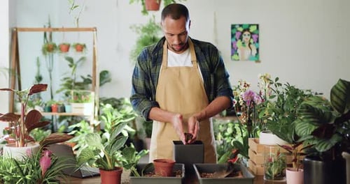 African man owner flowers shop in apron putting fiber soil by hands, transplanting green plant into