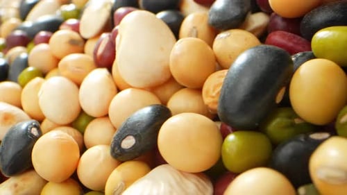 Colorful Assortment of Dried Beans Close Up