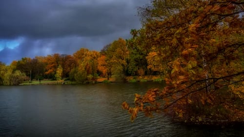 Autumn landscape in the city park.