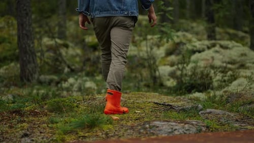 Tourist Or Hunter Walking Alone In Forest Back Of Male Hiker Strolling Between Trees In Woodland