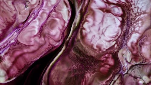 Formes de diffusion de peinture à l'encre abstraite 163