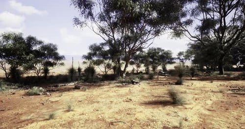 Seamless Flight Over Arid Australian Outback Desert Landscape