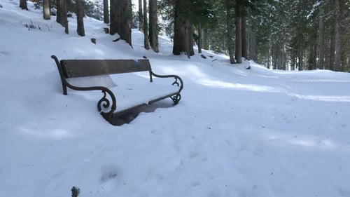 A bench covered with snow on a mountain path in a winter spruce forest on a sunny day