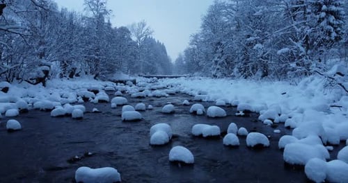 Winter Wonderland Forest Trees Woodland Scenery Outdoors