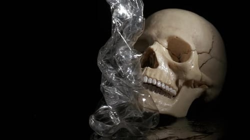 Human Skull and Plastic Bottle Close Up