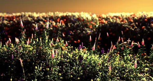 Beautiful Animated Flower Field with Swaying Plants and Golden Light