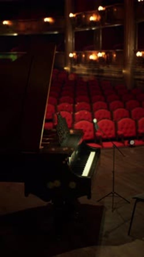 Musicians Prepare for a Stunning Opera Performance in a Grand Theater