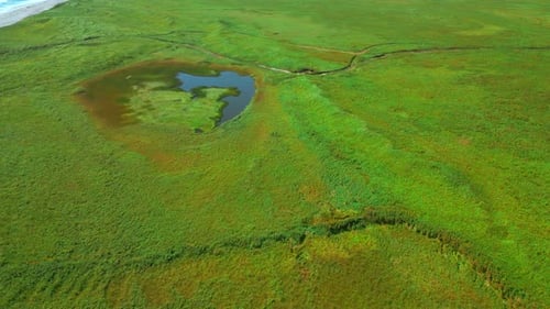 Small pond on green agricultural field in spring. Clip. Aerial of green meadow and tiny lake.