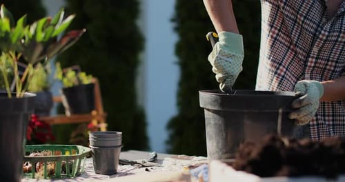 Person Planting Flowers in Pot Outside on Table