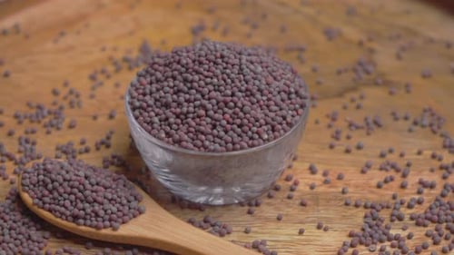 Big Mustard Seeds (Sarson)
