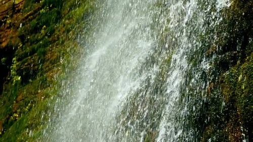 Water Drop Falling