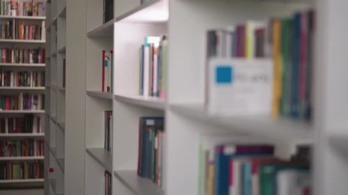 Library Bookshelves Filled with Colorful Books