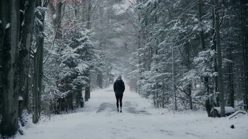Back View of A Person Walking On The Path Between The Snowy Forest. - wide shot