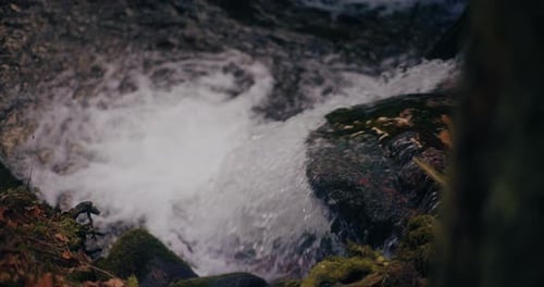 Pure Fresh Water In Mountains River Strem Waterfall