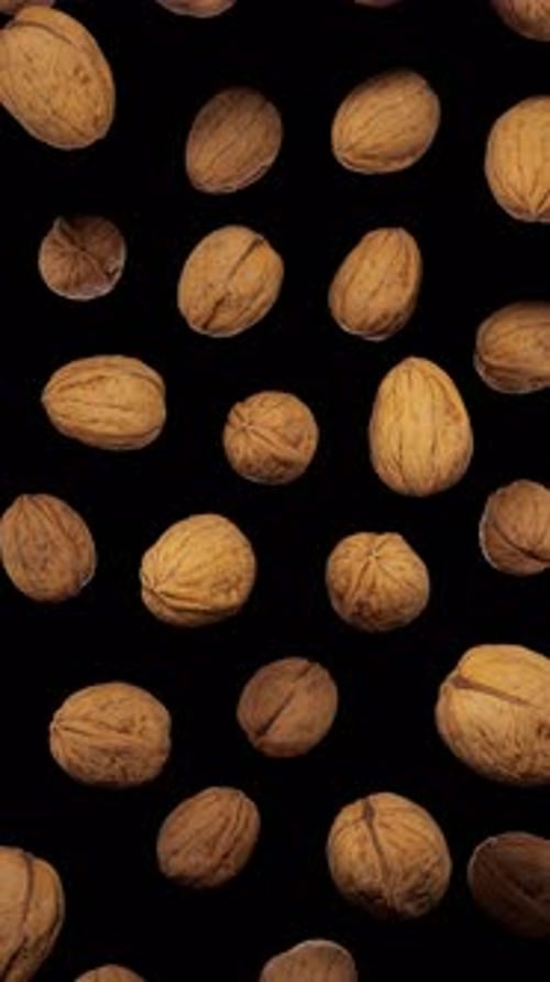 Realistic Walnuts Falling and Rotating on Black Background