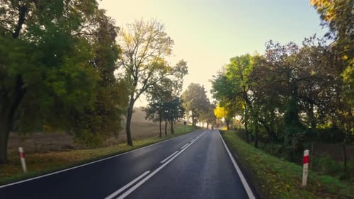 Car Travels On Asphalt Road During Autumn Sunset