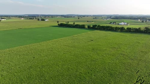 Vast green farmland stretches across rural USA. Rows of crops form intricate patterns on the landsca