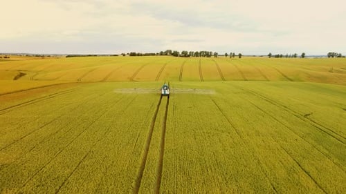 Pesticide Sprayer Tractor Working on Large Green Field at Sunset Aerial Shot Following Tractor
