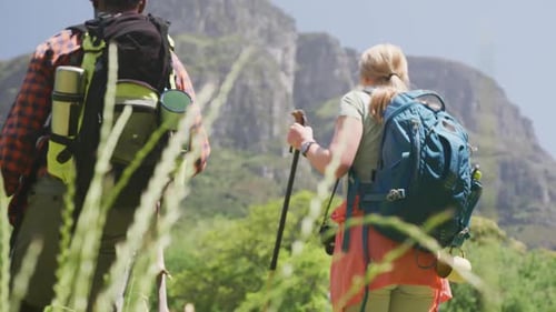 Couple Hiking Through Mountain Meadow on Sunny Day