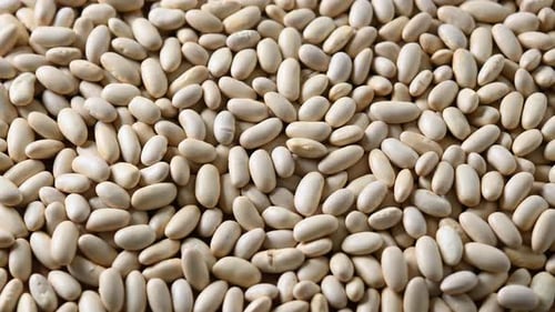 Close Up of Raw White Beans