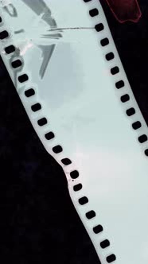 Abstract Fluid Paint Brush Stroke Art Elements