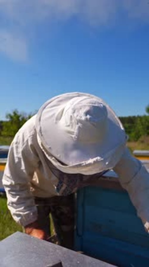 Beekeeper in protective hat. Apiarist inspects frame with bees and talks about their work.