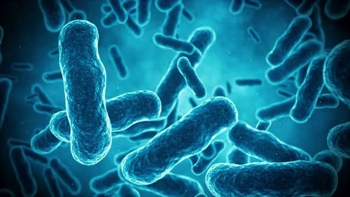 Abstract Microorganisms Animated Background for Science and Medical Projects