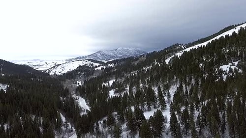 Snowy Mountains and Forest Aerial View