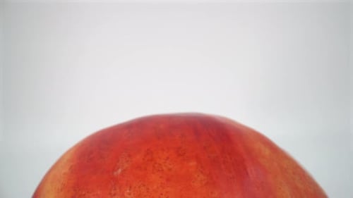 Peach nectarine close up on white background isolated 4K