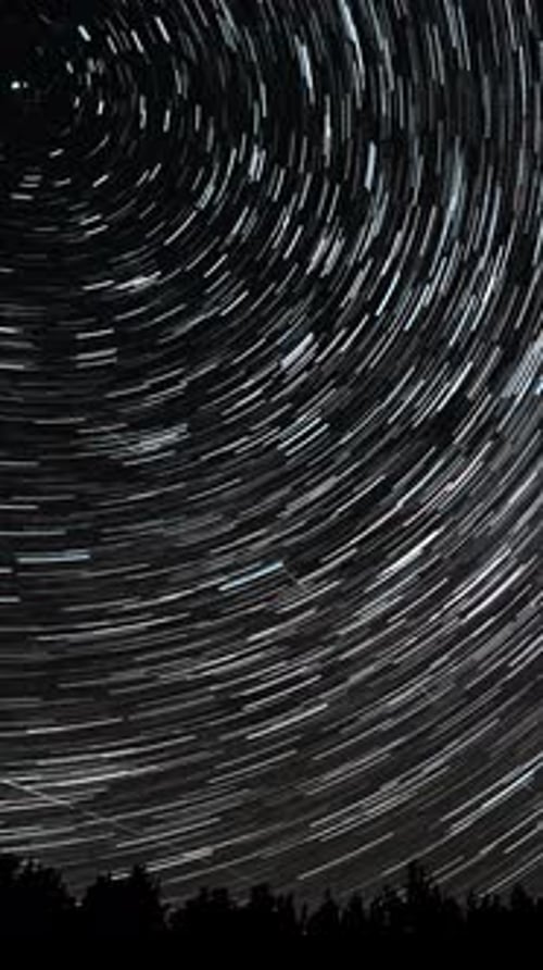 Star Trails Time Lapse at Night Over Trees