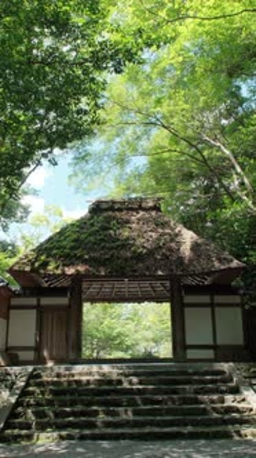 Japanese temple gate in summer surround by lush landscape, Honenin temple, Kyoto city, Japan.
