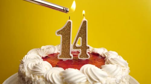 14. A candle in the form of the number 14, inserted into the holiday cake, is lit. Celebrating a bir