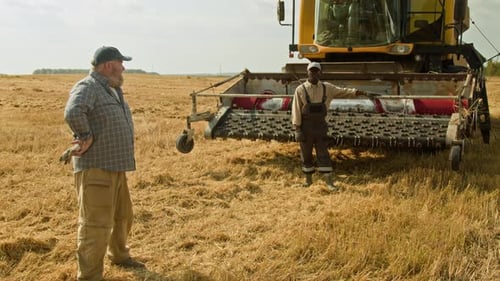 Two Farmers with Combine Harvester in Wheat Field with Smiles