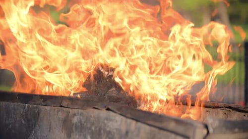 Flame Fire Close Up Slow Motion Barbecue Firewood Open for Cooking Kebabs Meat Close Up Slow Motion