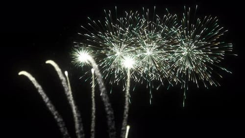 Dynamic Fireworks Bursts for Event and Celebration Projects