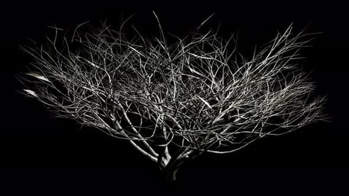 Animated Bare Tree with Swaying White Branches on Black Background