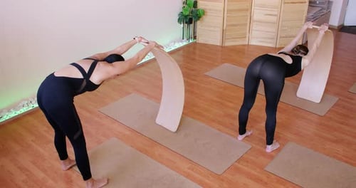 Physical Therapy Spine Stretching Woman Muscle