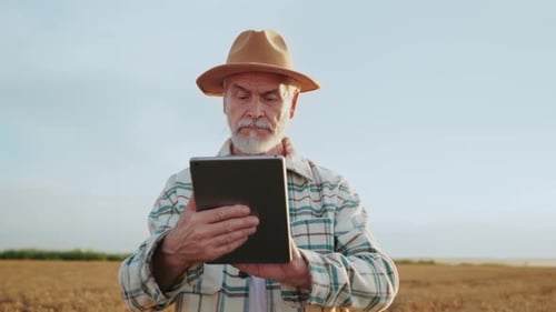 Attraktiver Landwirt Agronom nutzt Tablet-Computer im Feld Weizen Senior Serious Man das Geschäft