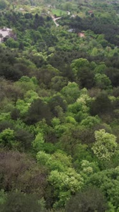 Aerial View of Forest and Rural Village