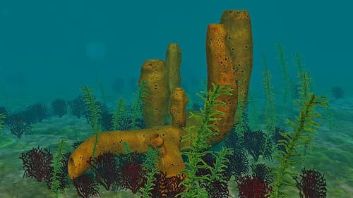 Underwater Coral Reef and Seaweed Animation Loop
