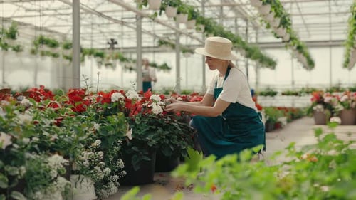 Female Worker Holding Watering Pot to Water the Plants at Flower Store