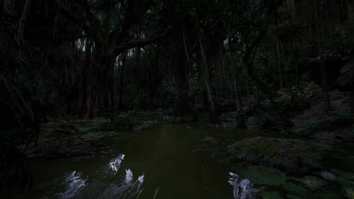Étang réfléchissant calme entouré d'arbres moussus et de lys flottants