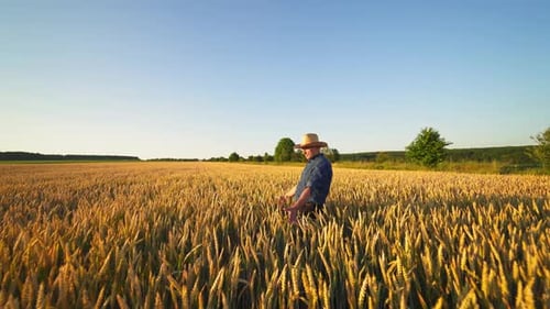 Farmer on agricultural land.