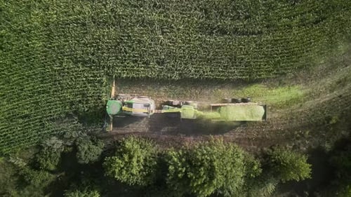 Tractor Harvesting Green Corn in Countryside Aerial Shot