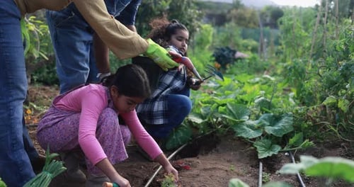 Indian family having fun together sowing new vegetable plants from house garden outdoor - Vegetarian