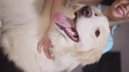 Woman Petted White Dog in her Home