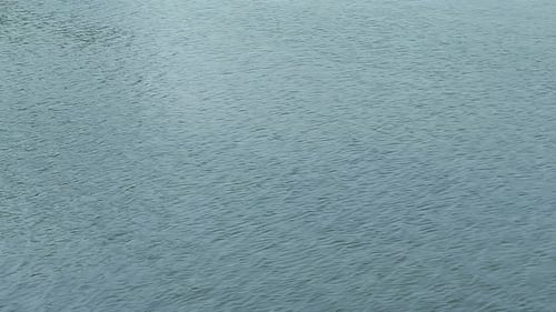 Gentle Ripples in Calm, Clear Water