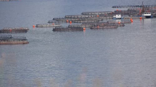 Mountain lake. Fish farm. Trout farming. Rhodope Mountains, Bulgaria.