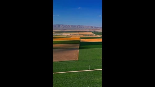 Expansive Farmlands in a Vast Plain - Aerial View