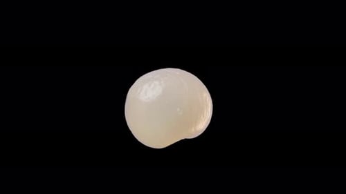 Peeled Lychee Rotating on a Black Background